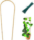 Cambaverd Indoor Plant Trellis for Climbing Plants 16in, 6 Pack Arch Bamboo Trellis for Potted Plants