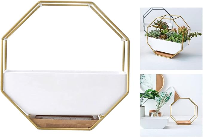 Modern Wall Planter Metal Wire Octagon Design Wall-Mounted Shelves with Ceramic Flower Pot Geometric Hexagon Wall Decor (Color : Golden)