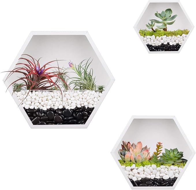 Hanging Hexagon Planter Wall-Mounted Flower Pot Hanging Basket Metal Vase Air Plant Holder Vintage Flower Pot Geometric Planter Succulent Cactus Container (M,White)