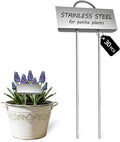 Small Size 304 Stainless Steel Plant Labels Metal Garden Plant Markers Weatherproof Stake Garden Plant Tags for Outdoor Seedling Flower (30 Pack) (Stainless Steel-2.5 Inch Width)
