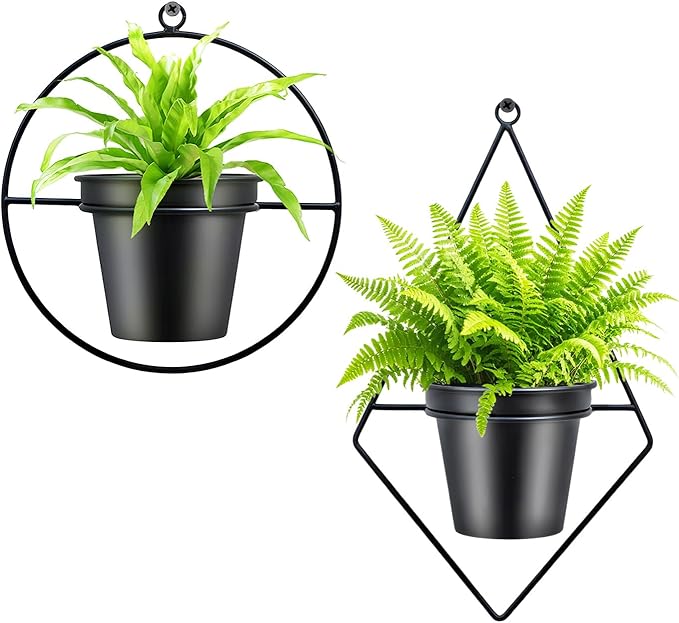 Geometric Wall Planters for Indoor Plants – Set of 2 Black Metal Wall Mounted Plant Holder (Round & Diamond Shapes) with 5 Inch Flower Pots, Modern haning planters for Indoor Outdoor Decor