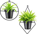 Geometric Wall Planters for Indoor Plants – Set of 2 Black Metal Wall Mounted Plant Holder (Round & Diamond Shapes) with 5 Inch Flower Pots, Modern haning planters for Indoor Outdoor Decor