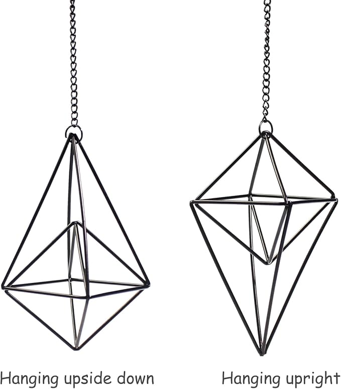 ZOOELAY Hanging Air Plants Holders Black Airplants Plant Hanger Metal Geometric Inoor Planter Holder Air Ferns Display Rack with Chain 4Pcs …