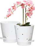 Vanslogreen Orchid Pots with Holes, 6 Inch Self Watering Orchid Pot 2 Pack Plastic Plant Pots for Orchid, Flower (White)