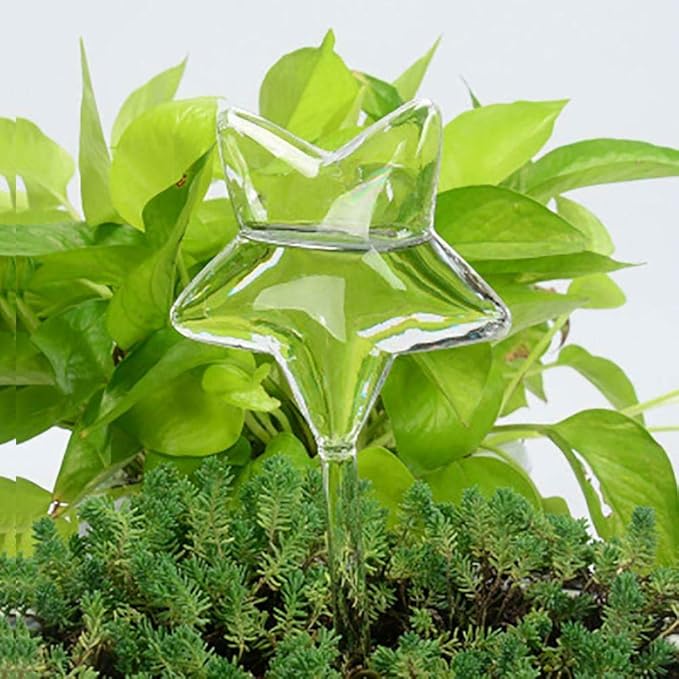 Yahpetes Automatic Watering Globe Plant Watering Globes Plastic Watering Bulbs Waterer Flower Water Drip Irrigationdevice Self Watering System (Bird+Star)