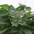 Ochine Plant Waterer Self Watering Globes Self Water Bulbs Devices Automatic Plant Watering Tool Decorative Hand Blown Clear Glass Plant Watering System for Indoor Outdoor Plant