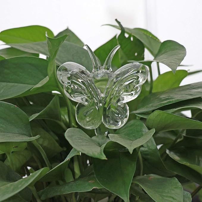 Ochine Plant Waterer Self Watering Globes Self Water Bulbs Devices Automatic Plant Watering Tool Decorative Hand Blown Clear Glass Plant Watering System for Indoor Outdoor Plant