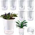 Planterhoma 6-Pack 4.3" Self-Watering Planters, Clear and White, Indoor Use, Hexagonal Plant Pots for Orchids, Herbs, African Violet, Home Decor