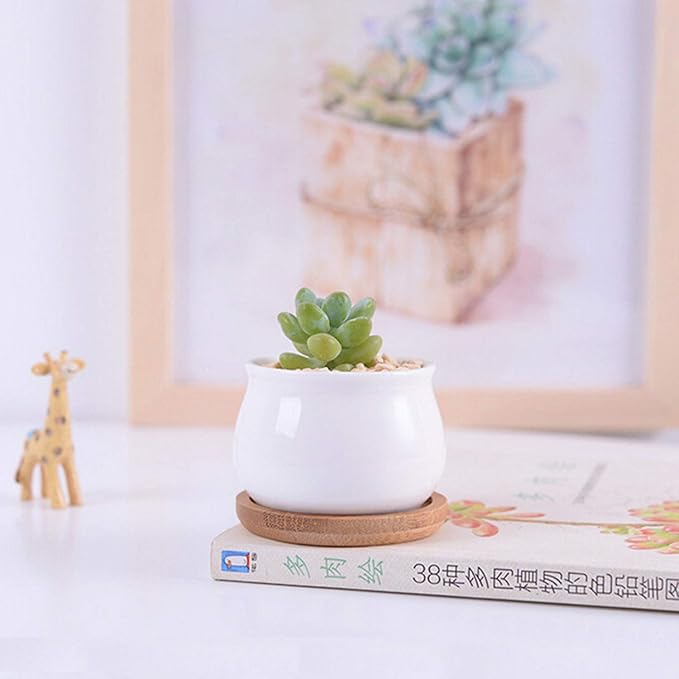 Brajttt Succluent Pots ，Small Flower Pots Planter Pots with Drinage,Ceramic Flowers Pots with Bamboo Tray for Cactus(12 Pack