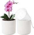 2 Pack of 5in Ceramic Cachepot with 5 inch Clear nusery Pot - self Watering Indoor Planter with Drainage for Root Visibility,semi Hydro pots for repotting Orchid,White