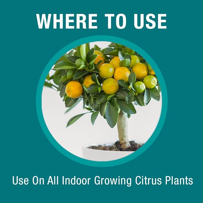 Baby Bio Citrus Food, Concentrate, 5.9 Oz (3-Pack)