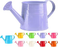 Metal Watering Can - 1L Vintage Sprinkling Can Plant Watering Can for Outdoor Indoor Plants, Tinplate Watering Kettle Gardening Tool, Galvanized Steel Watering Cans for Flowers (Purple)