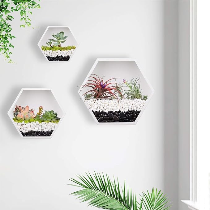 Hanging Hexagon Planter Wall-Mounted Flower Pot Hanging Basket Metal Vase Air Plant Holder Vintage Flower Pot Geometric Planter Succulent Cactus Container (M,White)