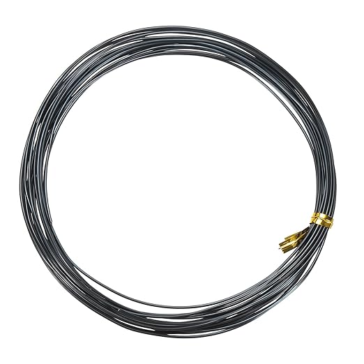 Bonsai Training Wire, 1mm x 16.4 ft Anodized Aluminum Floral Plant Training Wire Bendable Metal Stems Accessories for Gardening Branch Fixing Crafts (Black)
