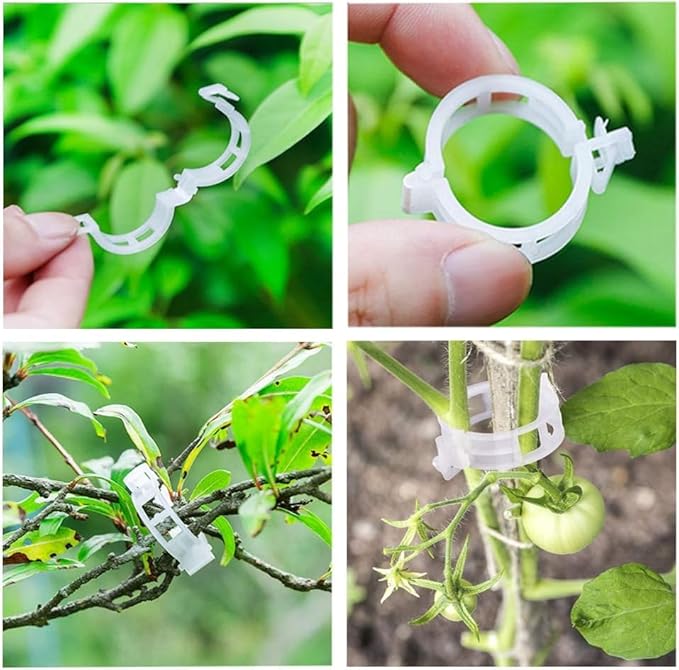 100Pcs Plant Support Clips Reusable Plastic Garden Clips Trellis Clips for Tomato Cucumber Vine Climbing Plants Indoor Outdoor Stem Support Monstera Pothos Orchid Clematis