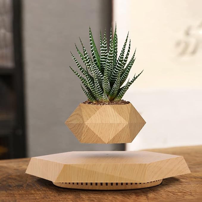 Levitating Plant Pot, Magnetic Levitation Flower Pot Rotating Planters Suspension Floating Plant Succulents Potted for Home Living Room Office Desk Decoration (Wood)