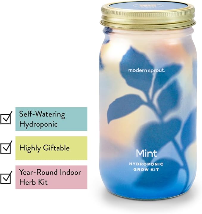 Modern Sprout Mason Garden Jar - Self-Watering Hydroponics Growing System Kit w/Organic Herb Seeds - Sprouting Jar Planter for Indoor Herb Garden -Seed Starter Kit - Home Decor & Gifting - Basil+Mint
