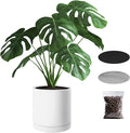 VEVOR Plant Pot, 12-Inch Ceramic Pots for Plants with Drainage Holes, Non-Slip Pads & Detachable Saucer, Modern Ceramic Flower Pots, Indoor and Outdoor Tree Planter Pot, Home & Office