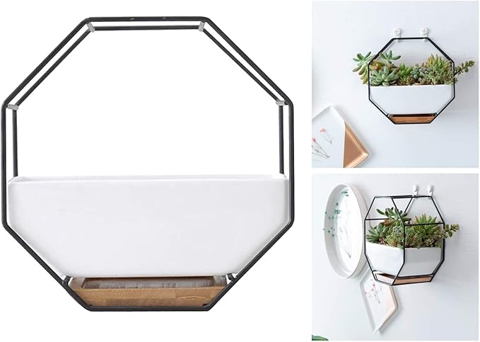 Modern Wall Planter Metal Wire Octagon Design Wall-Mounted Shelves with Ceramic Flower Pot Geometric Hexagon Wall Decor (Color : Black)