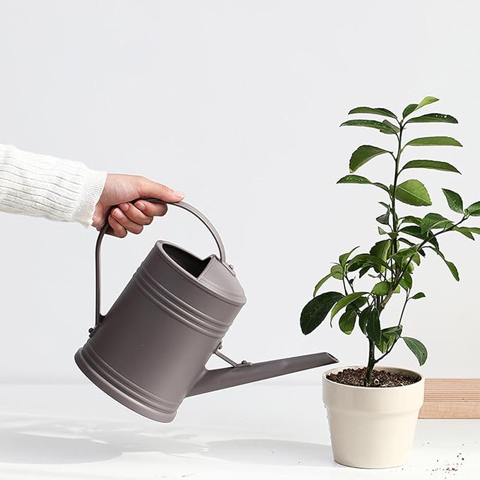Baoblaze Watering Can Indoor Plants with Detachable Sprinkle Head 1.8L Lightweight er Watering Can Long Spout Watering Can for Plants Bonsai, Brown
