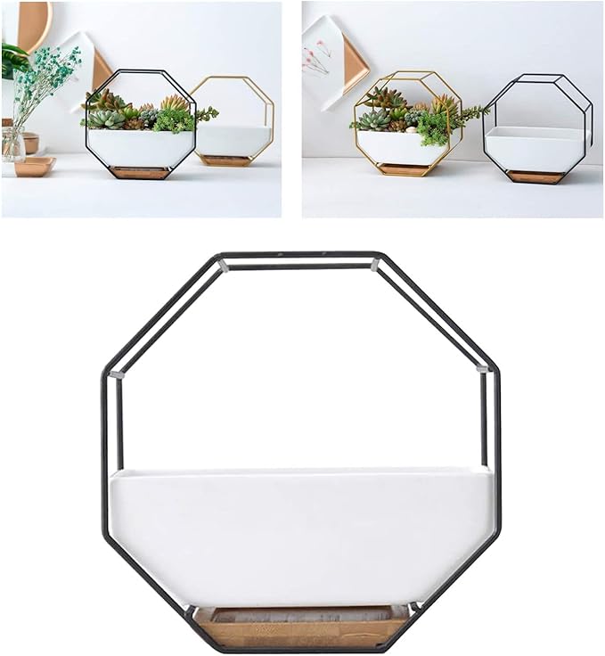 Modern Wall Planter Metal Wire Octagon Design Wall-Mounted Shelves with Ceramic Flower Pot Geometric Hexagon Wall Decor (Color : Black)