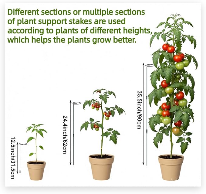 6 Sets Durable Metal Plant Stakes - 12/25/36 Inch Steel Plant Support Garden Stakes Sticks, Indoor Outdoor Plant Poles for Tomato, Orchid, Lily, Peony, Amaryllis, Flowers & Vegetables