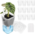 12 Pack 2" Small Self-Watering Planter Pots - Mini Clear Seed Starter Pots with Visible Water Level, Plastic Nursery Pots for Succulents, Herbs, and Propagation - Includes 12 Plant Labels