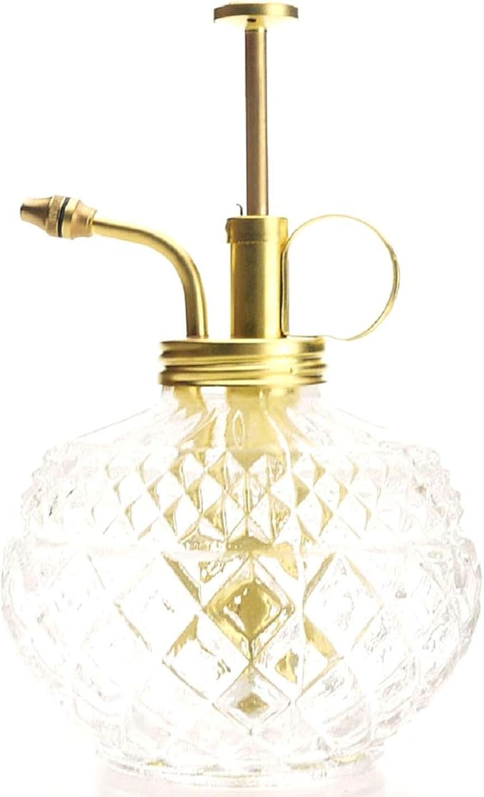 Plant Mister- Clear Color Glass Bottle & Brass Sprayer (Matt Gold)