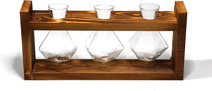 Wooden Base Glass Vase - Plant Holder & Propagation Station for Hydroponic Plants, Desktop Terrarium with Wooden Stand, Stylish Home & Office Décor, Great Gift for Plant Enthusiasts (YMFLX-3B)