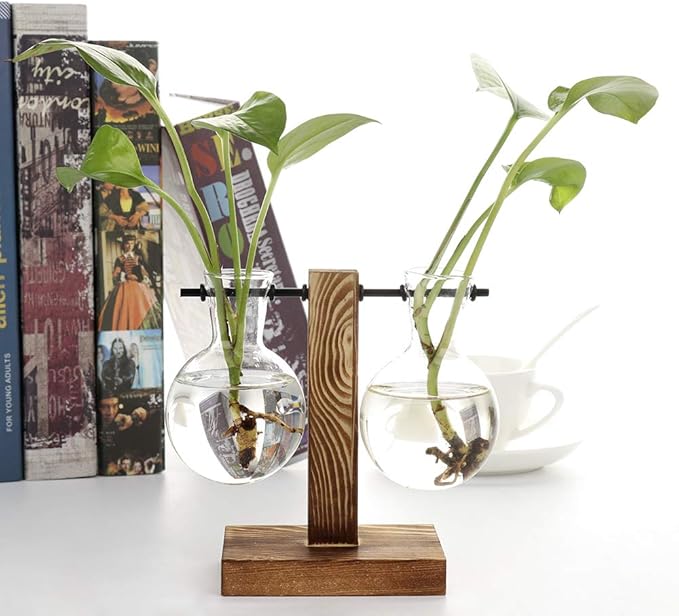 Glass Test Tube Holder in Wooden Stand, Hydroponic Vase, Indoor Desktop Plant Terrarium, Glass Flowerpot with Vintage Wood Frame Holder for Hydroponic Plant Family Garden Wedding Decoration(A3)