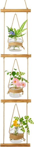 XXXFLOWER 3 Tiers Mushroom Glass Vase Wall Planter Hydroponic Propagation Station with Hanging Herb Cuttings Vase for Hydroponic Plant Decor for Living Room Indoor Outdoor Multi-Space