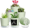 Self Watering Pots for Plants, 2026 New Flower Plant Pots with Drainage Holes, Wicking and Clear Reservoirs for Succulent, Aloe, Cacti and Others - 6 Pack (Green, 5")