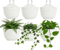 6 Pcs Plastic Large Wall Plant Pots Vertical Garden Living Wall Mounted Window Hanging Basket Fence Planters Indoor Outdoor for Plants Flowers Kitchen Herbs Holder with Drainage Decor White