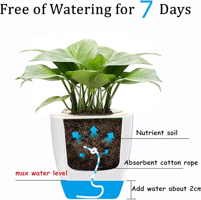 Lyellfe 6 Pack Plastic Self Watering Pots, 4 Inch Clear African Violet Pots for Indoor Plants, Automatic-Watering Planter with Drainage, Wick Rope, Windowsill Gardens, Herb, Orchid