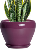 Ceramicfor Ceramic Planter - 8 Inch Plant Pot Indoor with Drainage Hole and Saucer, Glaze Decorative Planter, Round Flower Pot, Plant Lover Gifts, Home Garden Office Decor, Purple