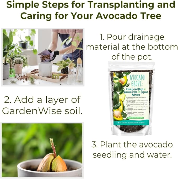 GARDENWISE Avocado Tree Soil – Premium Organic Potting Mix for Avocado Trees | Tailored pH & Organic Nutrients | Fast-Draining & Moisture-Retaining | Indoor & Outdoor Use (2 QUARTS)