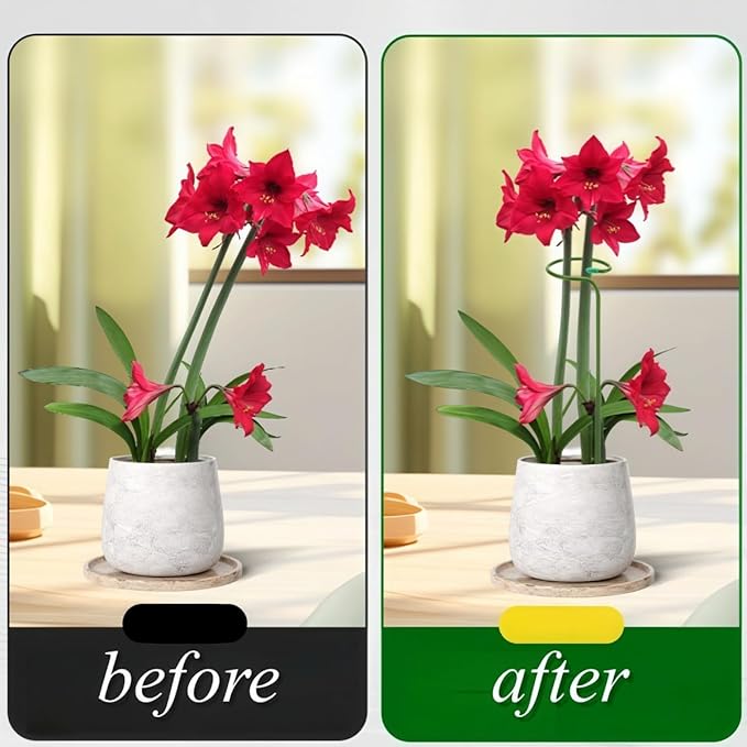 12 Pack Plant Support Stakes, 10 Inch Tall Metal Plant Stakes, Garden Plant Support Stake for Outdoor Indoor Plants, Flower Stake for Lilies, Dahlias, Sunflowers, Tomato, Amaryllis, Peony, Orchid