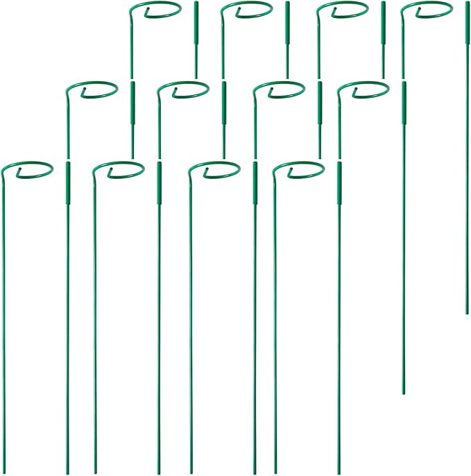 PFNRTH 12 Pack Plant Stakes,Plant Support Stakes for Two Sizes(16 or 32 Inches),Plant Stakes for Outdoor Plants,Garden Flower,Tomato(Green)