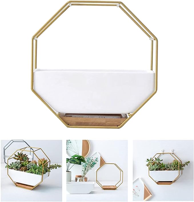 Modern Wall Planter Metal Wire Octagon Design Wall-Mounted Shelves with Ceramic Flower Pot Geometric Hexagon Wall Decor (Color : Golden)