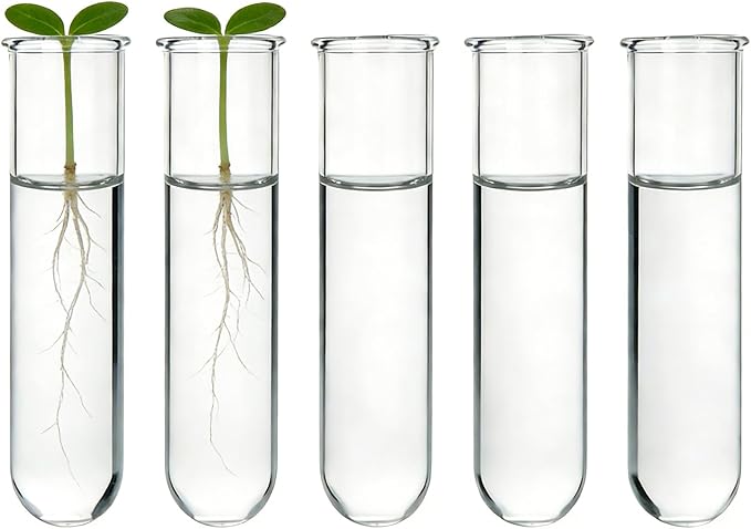 YIBOT Glass Plant Propagation Tubes Accessories Glass Test Tubes Tiered Planters Wall Terrarium for Home Office Plant Hanger Flower Vases Wall Decor Hydroponic Cuttings (5 Tube Vases) Clear