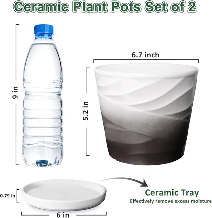 Ceramic Plant Pots,6 Inch,Set of 2,Planters with Drainage Hole and Saucer,Flower pots for Indoor Plants,Modern Design(6.7 in Diameter)