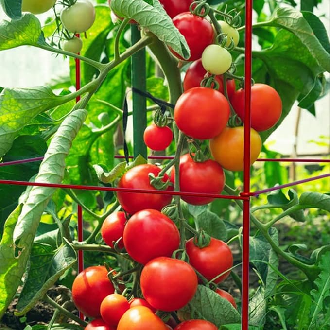 Thealyn Tomato Cages 6 Packs 46 Inch (H) Plant Stand with 164 Feet Twist Ties, Heavy Duty Garden Plants Support for Tomatoes, Cucumber, and Other Climbing Plants (Red)