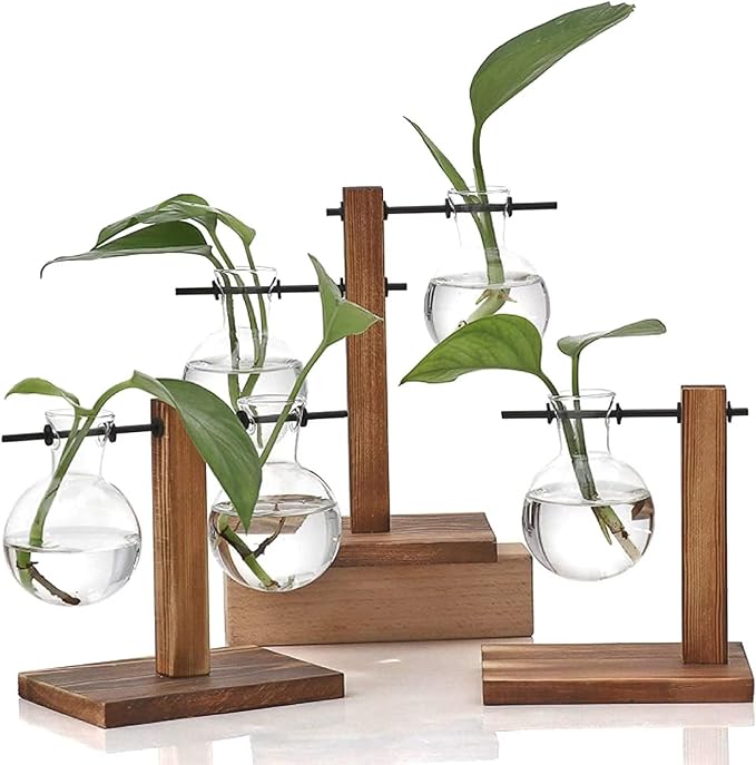 Hydroponic Plant Vases with Wooden Stand, Desktop Clear Glass Bulb Shape Vase Terrarium Planter Holder for Office Desk Wedding Decor, 2-Glass Beaker Bulbs