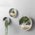 3 Pack Set Wall Planters,Modern Round Glass Wall Planter Succulent Planter Circle Iron Hanging Planter Vase for Herb,Small Cactus Perfect for Balcony, Room and Patio Decor (White)