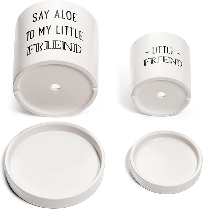 Aloe Pot and Succulent Planter - Set of Two - Funny Housewarming Gift - Plants Not Included