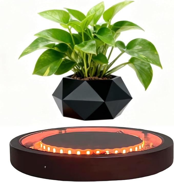 MOOCCI Magnetic Levitation Lamp, Floating Plant Pot with Glowing Base for Home Decor, Creates Romantic Ambiance, Modern Nightstand Lamp and Thoughtful Gift for Lover (Black)