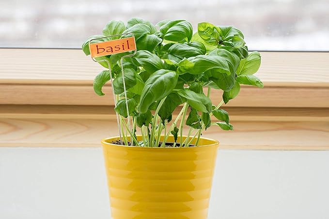 Pack of 25pcs Metal Plant Labels Garden Markers Reusable Nursery Stakes Tags Name Plate for Greenhouse Flower, Herbs, Vegetables, Seedlings, Shrubs (S(6.1x2.56x0.08inch), Copper)