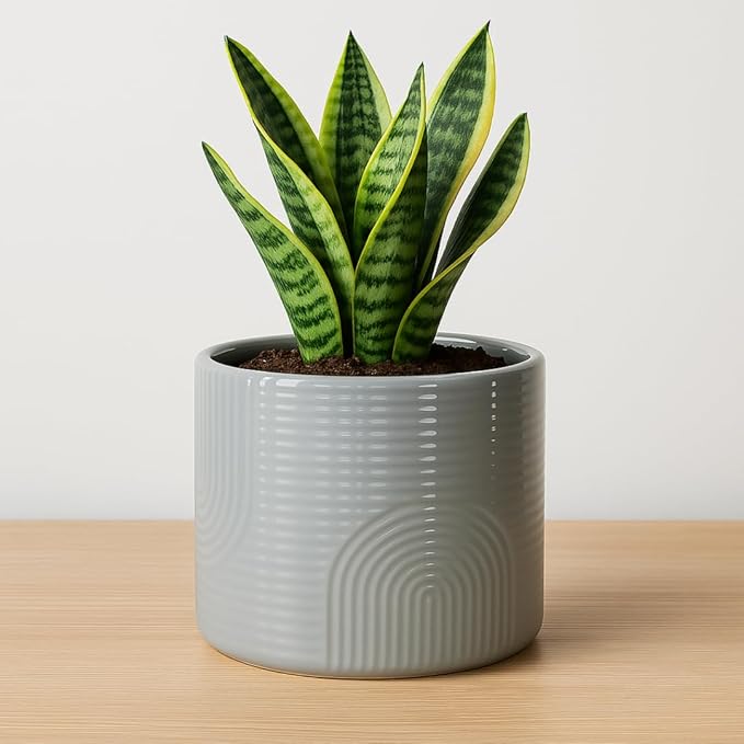 6 Inch Ceramic Plant Pot – Decorative Indoor Planter (No Drainage Hole) for Succulents, Herbs & Houseplants – Modern Tabletop Desk Planter – Stone Gray