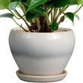 Ceramicfor Planter Pot 6 Inch - Ceramic Plant Pot with Drainage Hole and Saucer, Round Glaze Succulent Pot for Plants, White