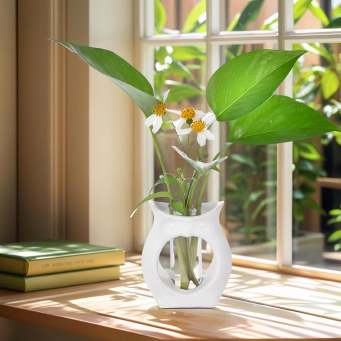 2-in-1 Ceramic Plant Propagation Station with Glass Jars, Owl Planter & Air Plant Holder, Avocado Seed Starter Vase for Indoor Plants, Home Office Decor Gift for Plant Lovers